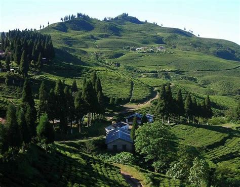 THE 10 BEST Places to Visit in Sunsari (2026) - Must-See Attractions