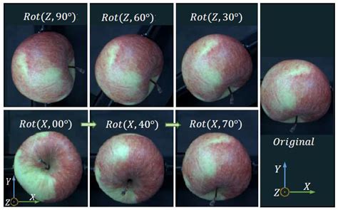 Deep Learning-Based Pose Estimation of Apples for Inspection in ...