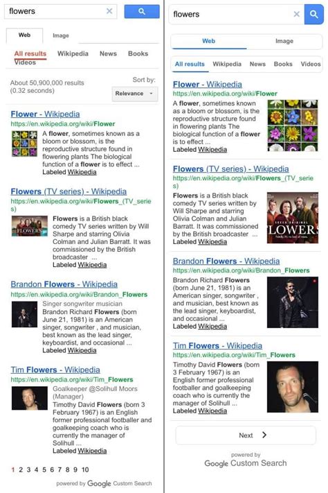 Google Search Engine 的图像结果