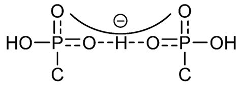 Charge-Assisted Hydrogen-Bonded Networks of NH4+ and [Co(NH3)6]3+ with ...