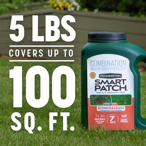 Pennington Smart Patch 5-lb Bermuda Lawn Repair Mix 100545645 at Lowes.com
