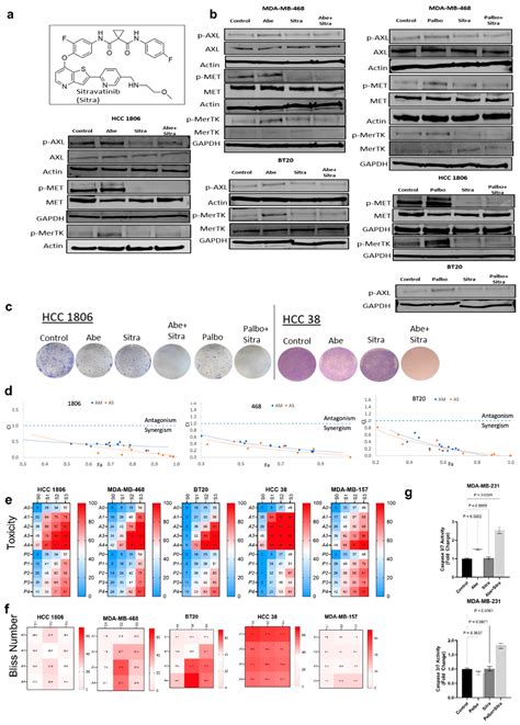 Targeting Tyro3, Axl, and MerTK Receptor Tyrosine Kinases Significantly ...