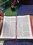 Buy The Holy Bible: Hindi- O.V Re Edited Book Online at Low Prices in ...