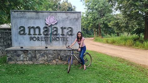 AMAARA FOREST HOTEL SIGIRIYA - Hotel Reviews, Photos, Rate Comparison ...