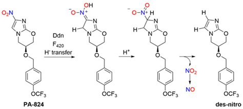 Nitroaromatic Antibiotics as Nitrogen Oxide Sources