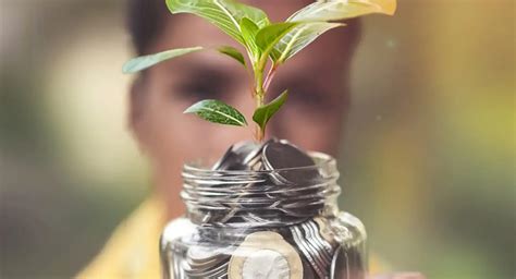 mutual funds: Should you take the multi-asset funds route to diversify ...