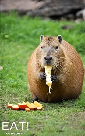 EAT capybara (Japanese Edition) eBook : AI SHOBOU: Amazon.in: Kindle Store