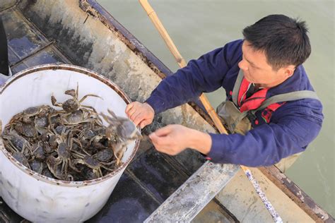 【渔业生态走基层（一）】河蚬、河蚌、螺蛳、银鱼……江苏河湖水产品中的“大咖上品”，中国第五大淡水湖——洪泽湖是如何保护的？