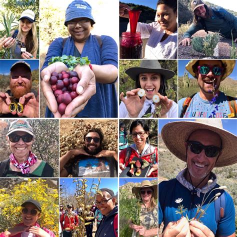 Edible & Medicinal Plants of the Sonoran Desert: Tucson Area, Tucson ...