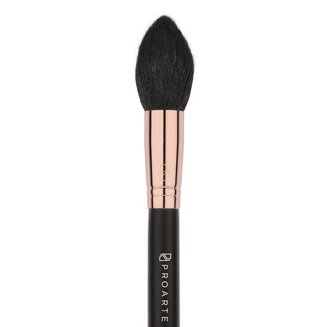 Proarte Face Tapered Make Up Brush AF04 : Amazon.in: Beauty