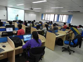 Lotka-Volterra Mathematical Ecology Laboratory | Centre for Ecological ...