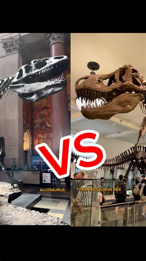 Dinosaurer T Rex Vs Allosaurus