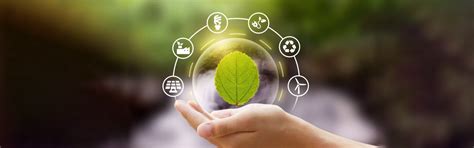 The Power of Collaboration