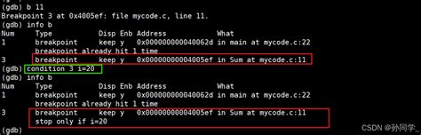 GDB Debug 的图像结果