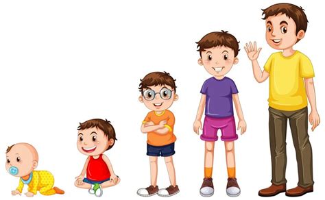 8 Stages of Development with Age 的图像结果