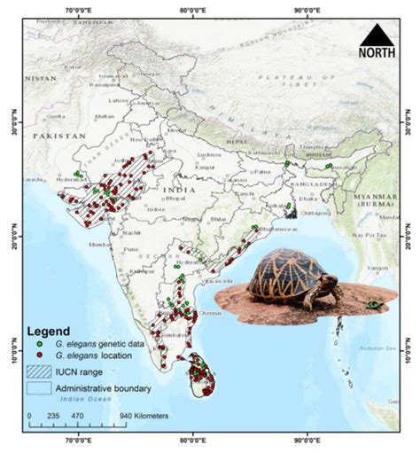Mitochondrial DNA and Distribution Modelling Evidenced the Lost Genetic ...
