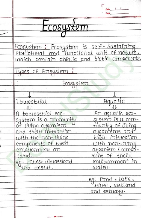 Image result for Ecosystem Structure and Function 12 NCERT
