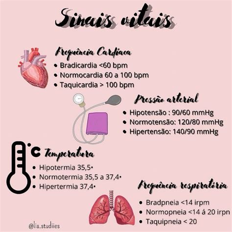 Pin en Salvamentos rápidos