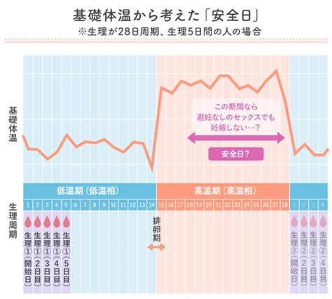 女性ホルモン「エストロゲン」と「プロゲステロン」 | 美野島で交通事故治療「アイズスポーツ整骨院美野島院」