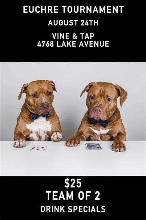 Euchre Tournament!, Vine and Tap, Rochester, 24 August 2025 | AllEvents