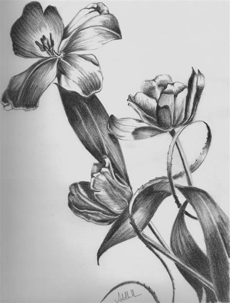 Flower Shading Drawing: A Step-by-Step Guide for Beginners
