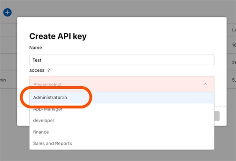 Image result for My API Key On My iPhone