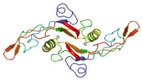 Global Transforming Growth Factor Beta 1 Market Size, Manufacturers ...