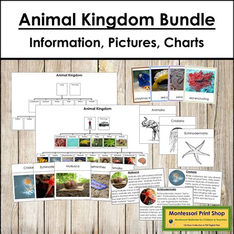 Animal Kingdom Bundle (color-coded) - Animal Classification ...