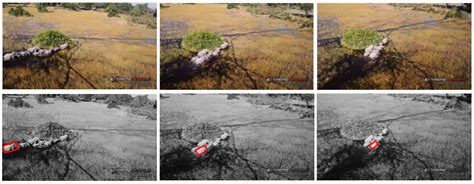 Towards an Autonomous Vision-Based Unmanned Aerial System against ...