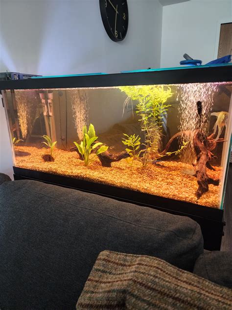 Hot 1000 gallon fish tank for sale 2026