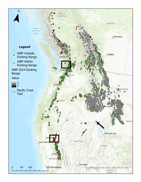 Image result for pine code map