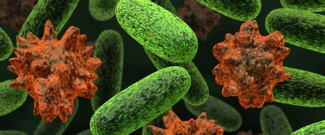 UNIVERSITY OF THE WITWATERSRAND