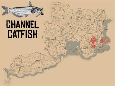 Red Dead Redemption 2 Fish Locations : r/reddeadredemption