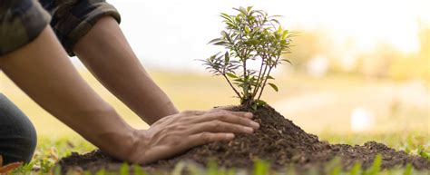 Studying the Impact of Male Migration on Decision-Making by Women in ...