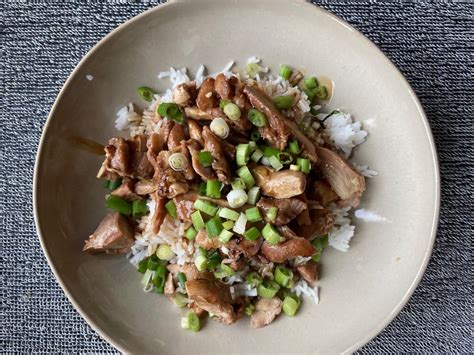 Trader Joe's BBQ Teriyaki Chicken Review - Club Trader Joe's