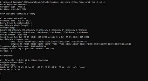 Image result for Demoidentity JKS File Not Found