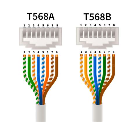 Cable Ethernet Norme B at Ronald Pearsall blog