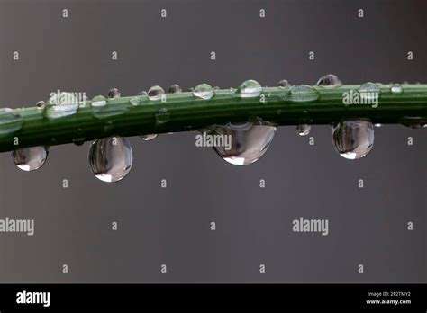 Image result for Raindrop Refraction