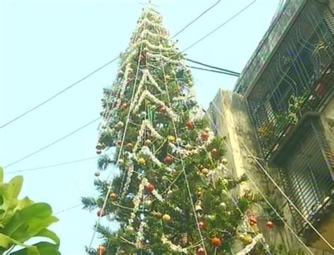 Mumbai Family Grows Christmas Tree For 40 Years, It's Now India's ...