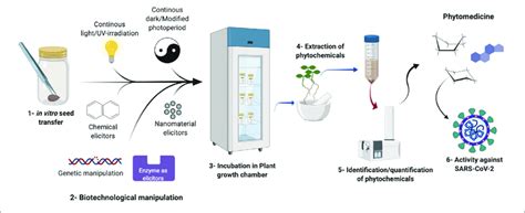Schematic Overview of a Biotechnology Process 的图像结果