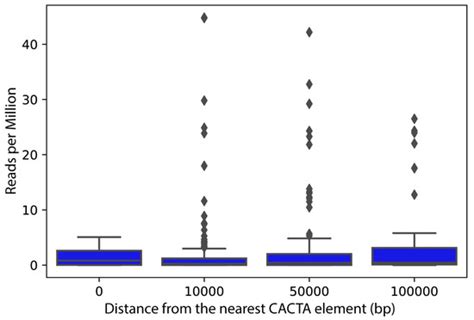 On the Trail of Tetu1: Genome-Wide Discovery of CACTA Transposable ...