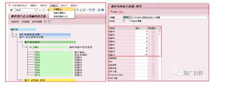 SAP Coding Block 的图像结果