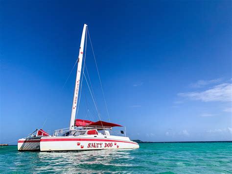 SALTY DOG CATAMARAN - All You Need to Know BEFORE You Go (with Photos ...