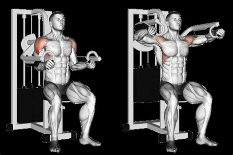 Machine Lateral Raise: Guide, Muscles Worked, Tips | Athlemove