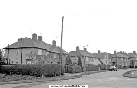 Searching Picture Sheffield