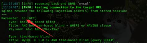 Sqlmap Tutorial Kali 的图像结果