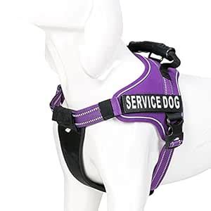 Service Dog Vest Harness - Chai's Choice Best with 2 Reflective Service ...