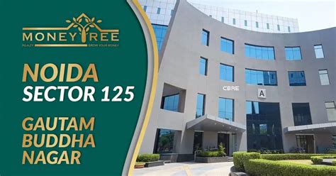 Sector 125 Noida: Map, Property Rates, Projects, Review, Info