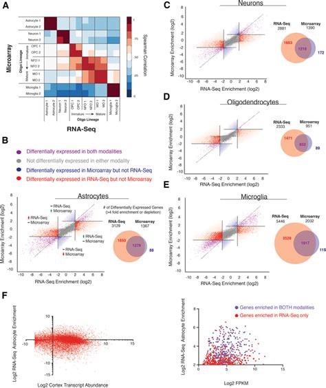 RNA-Seq vs Microarray 的图像结果