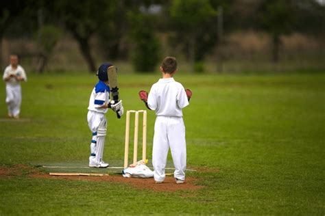 Playing Cricket 的图像结果